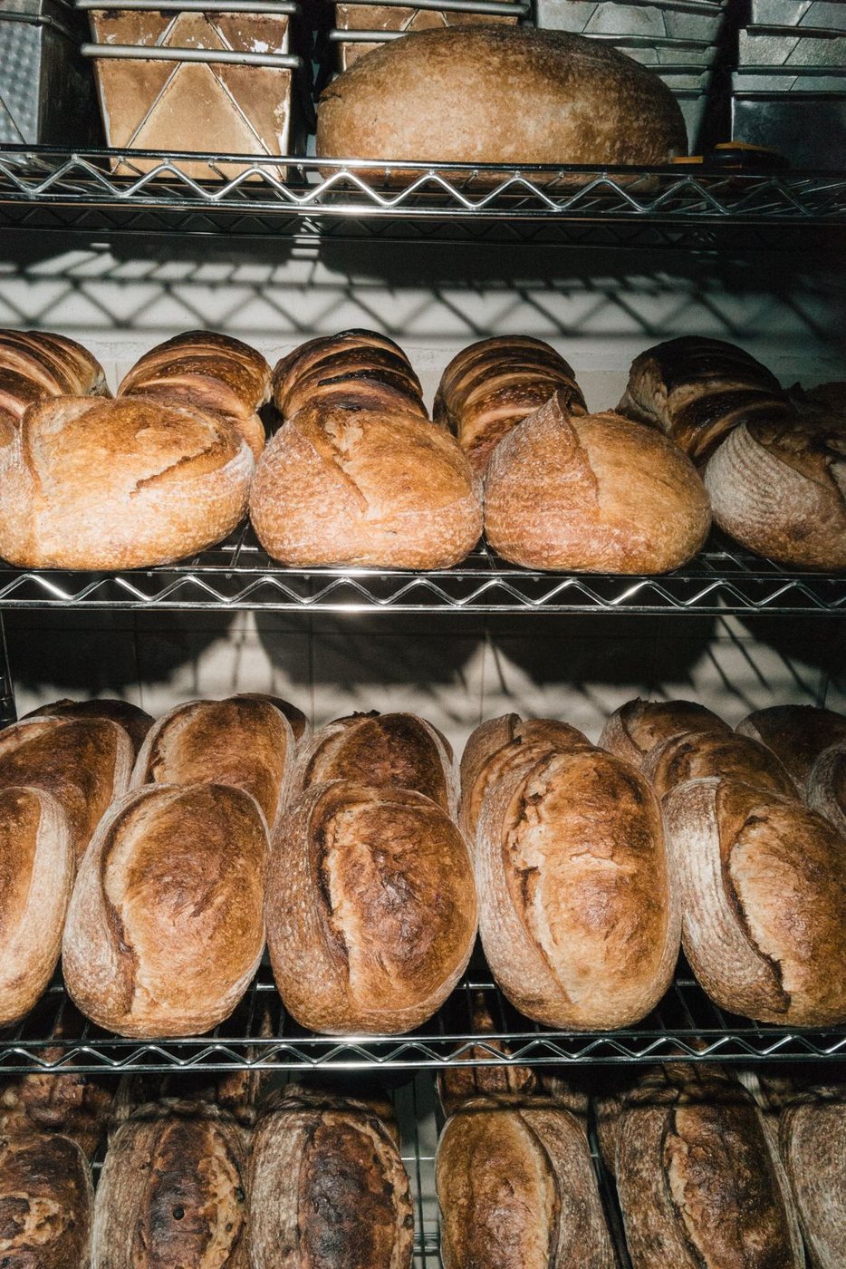 Hogazas de masa madre